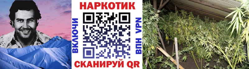 Бошки Шишки Ряжск