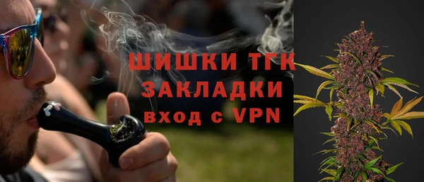 индика Балахна