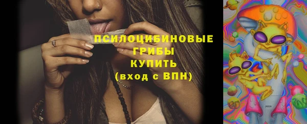 индика Балахна