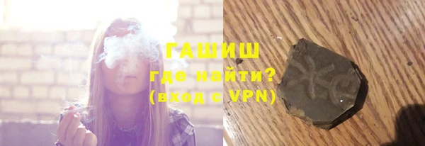 индика Балахна