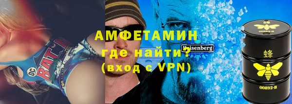 индика Балахна