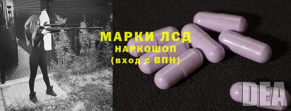 индика Балахна